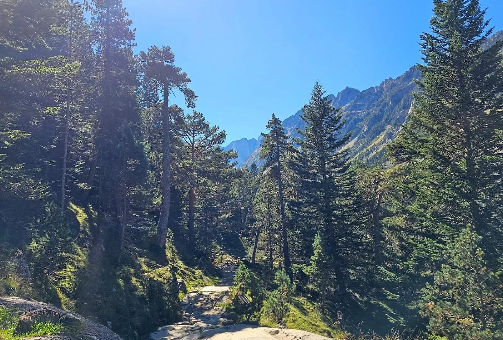 Studio Cocooning A Cauterets 3 Personnes 0*,  France